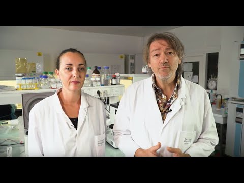 Gliome infiltrant du tronc cérébral : la recherche progresse