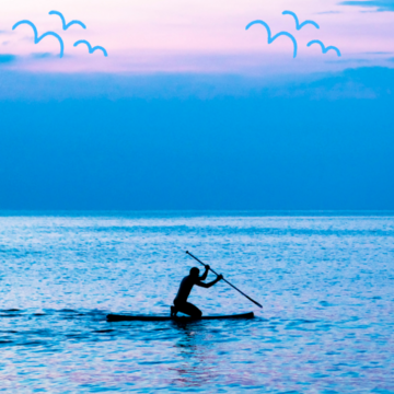 Paddle Vendée Coeur